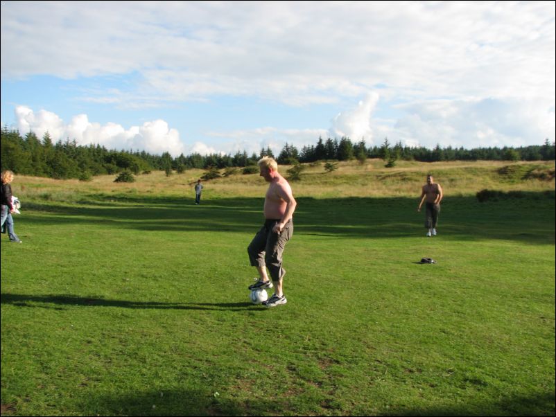 I wonder if I can stand on this